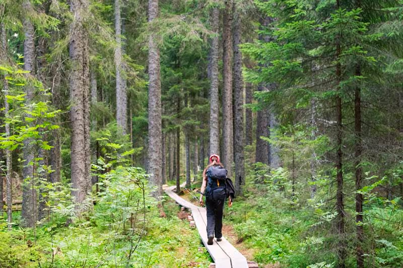 Packlista för dagsvandring i fjällen