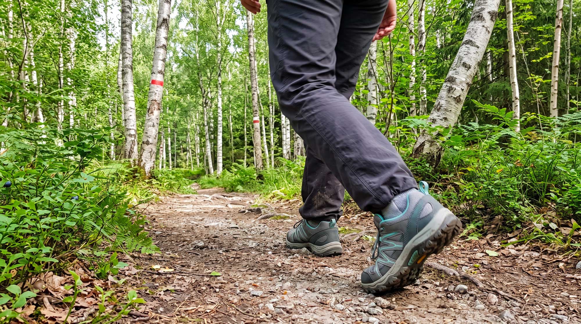Vandringsskor – komplett guide till rätt sko 2026